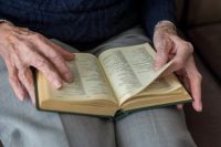 дневен център - 57730 селекции дневен център - 90971 селекции