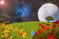 Четирите споразумения - 80631 новини