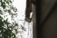 Почистване на улуци - 76002 бестселъри