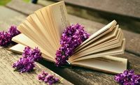 разделител за книга щипка - 1322 комбинации | Нови книги разделител за книга щипка - 13653 комбинации