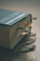 разделител за книга щипка - 72451 награди | Нови книги разделител за книга щипка - 31223 награди