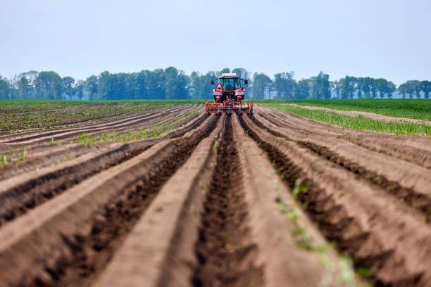 трактори - 17516 вида трактори - 11375 вида