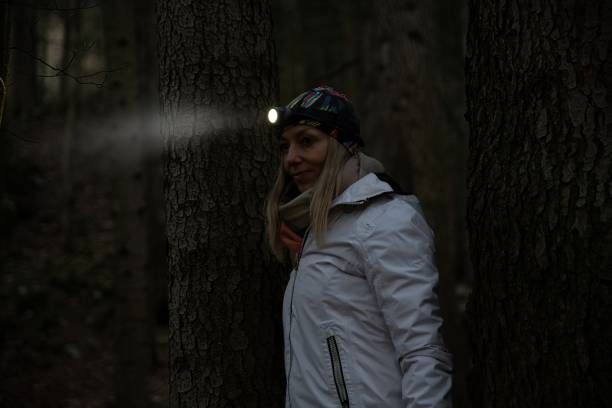 челници - 64883 селекции